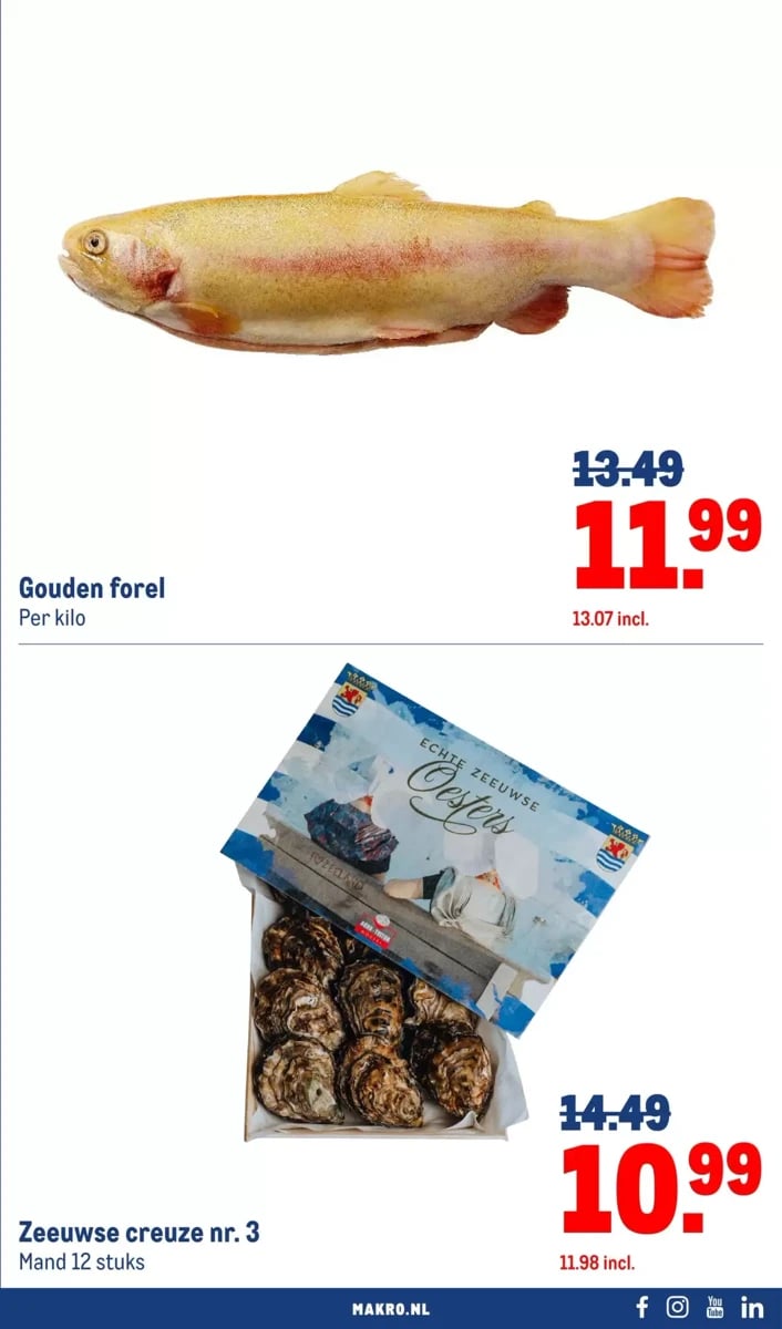 Makro folder – pagina 3