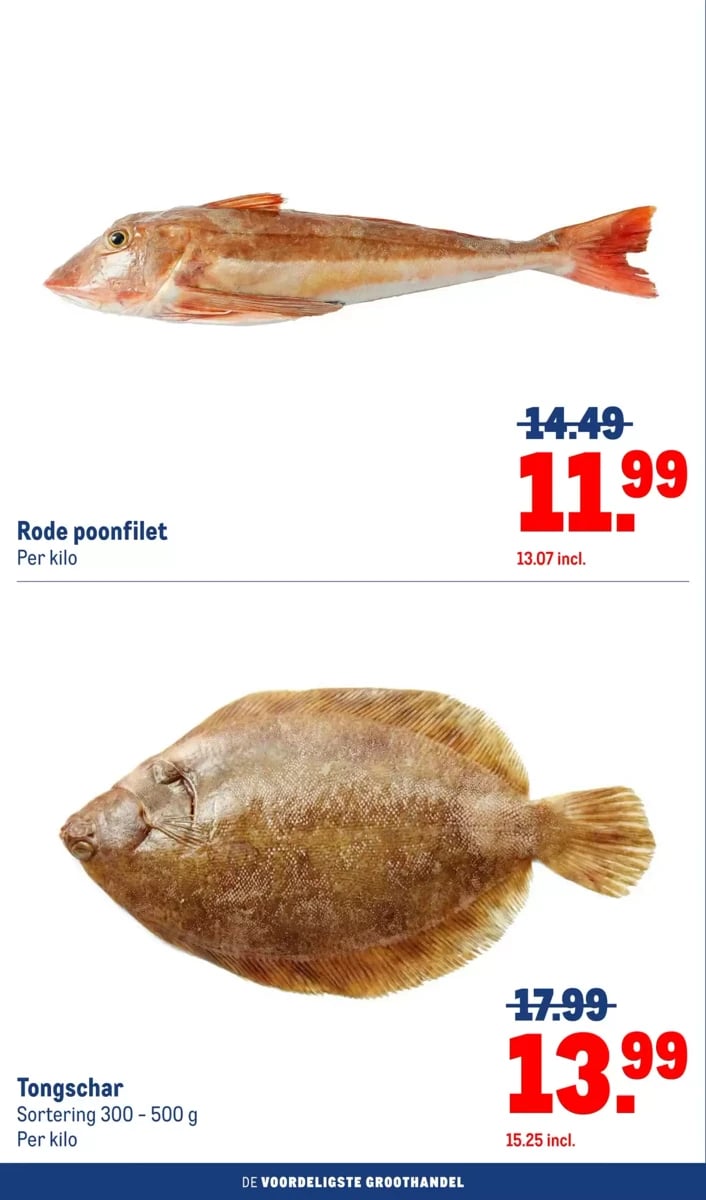 Makro folder – pagina 4