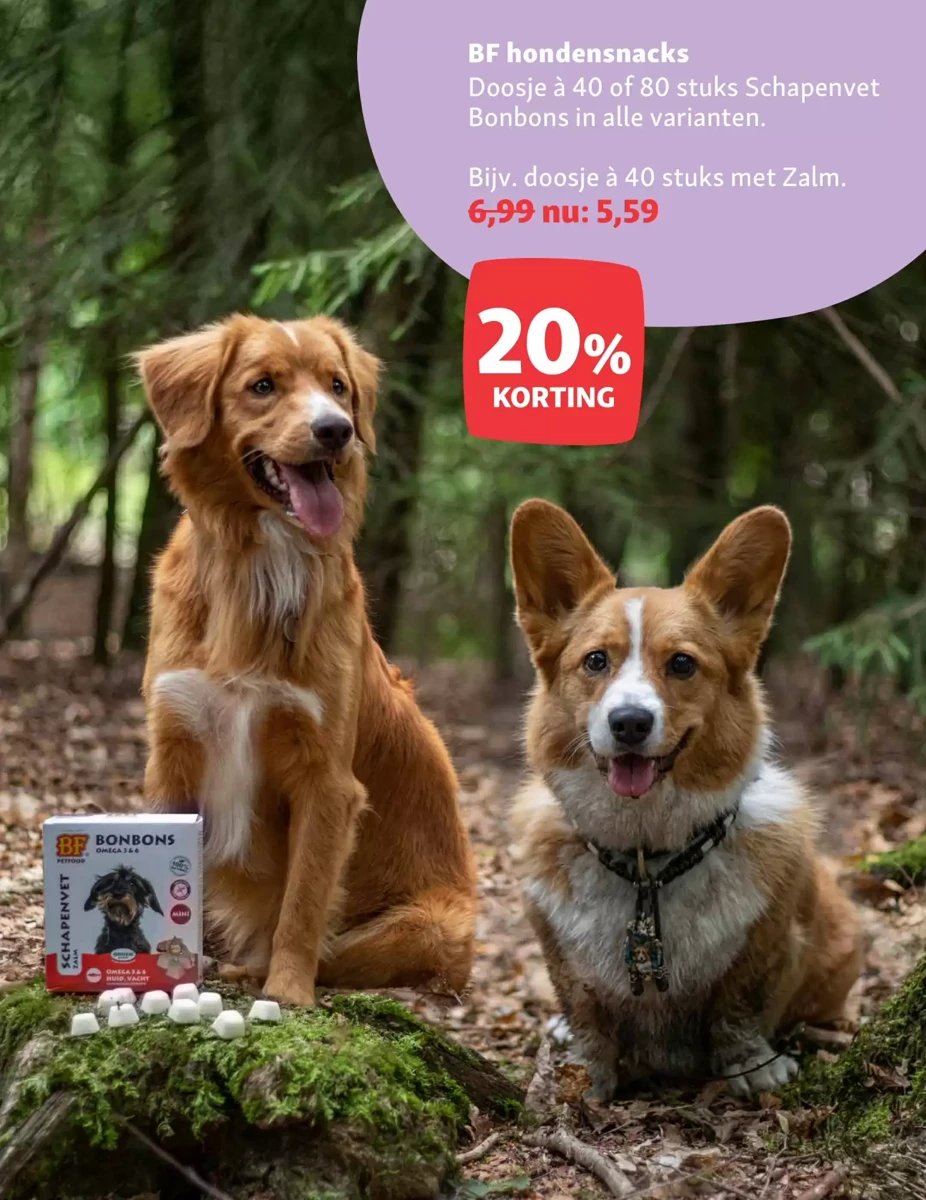 Maxi Zoo folder – pagina 8