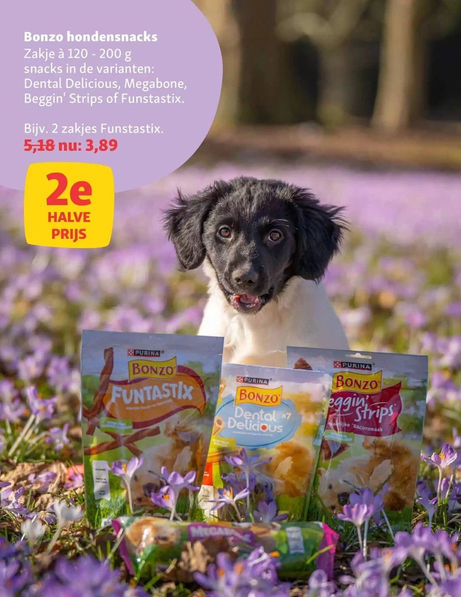 Maxi Zoo folder – pagina 10