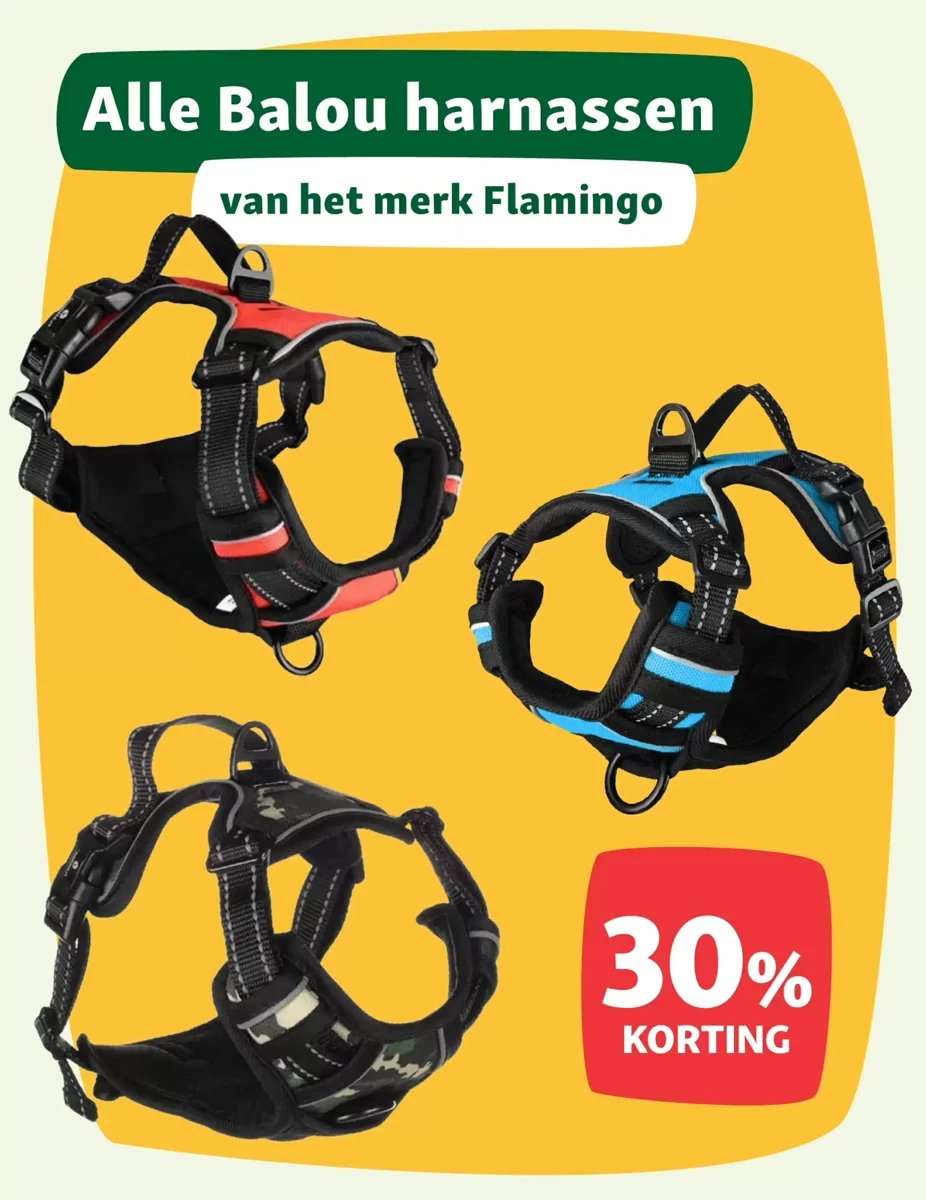 Maxi Zoo folder – pagina 10