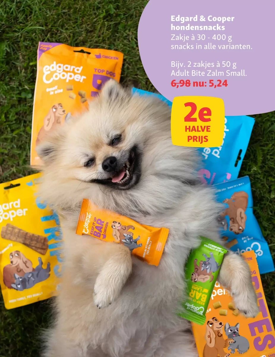 Maxi Zoo folder – pagina 8