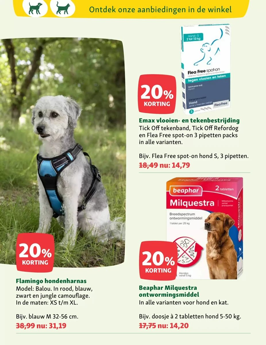 Maxi Zoo folder – pagina 8