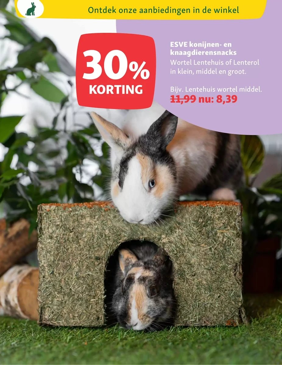 Maxi Zoo folder – pagina 19