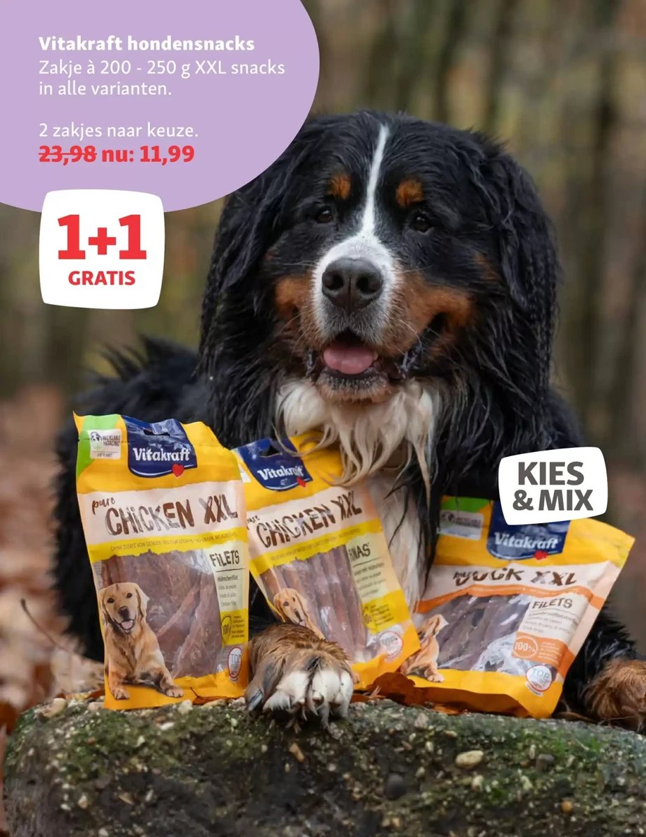 Maxi Zoo folder – pagina 8