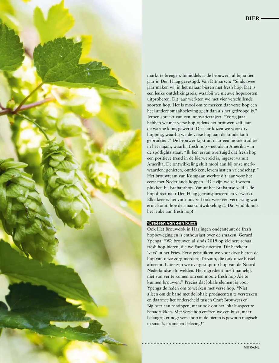 Mitra folder – pagina 43