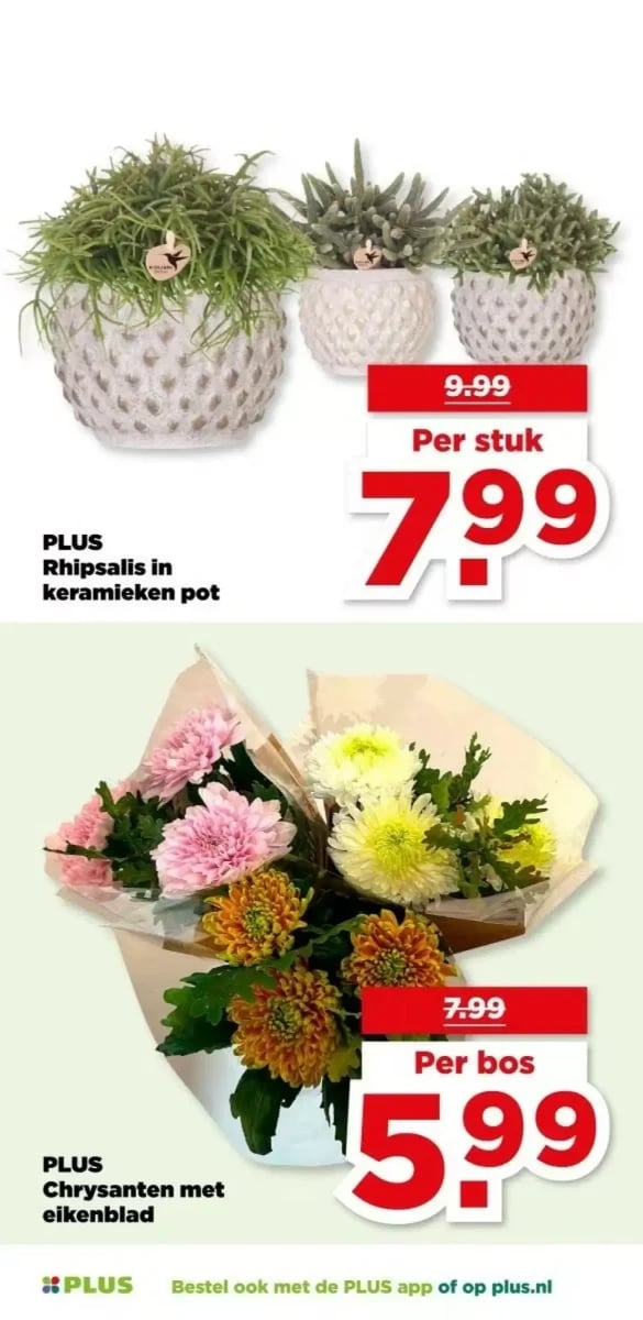 Plus folder – pagina 47