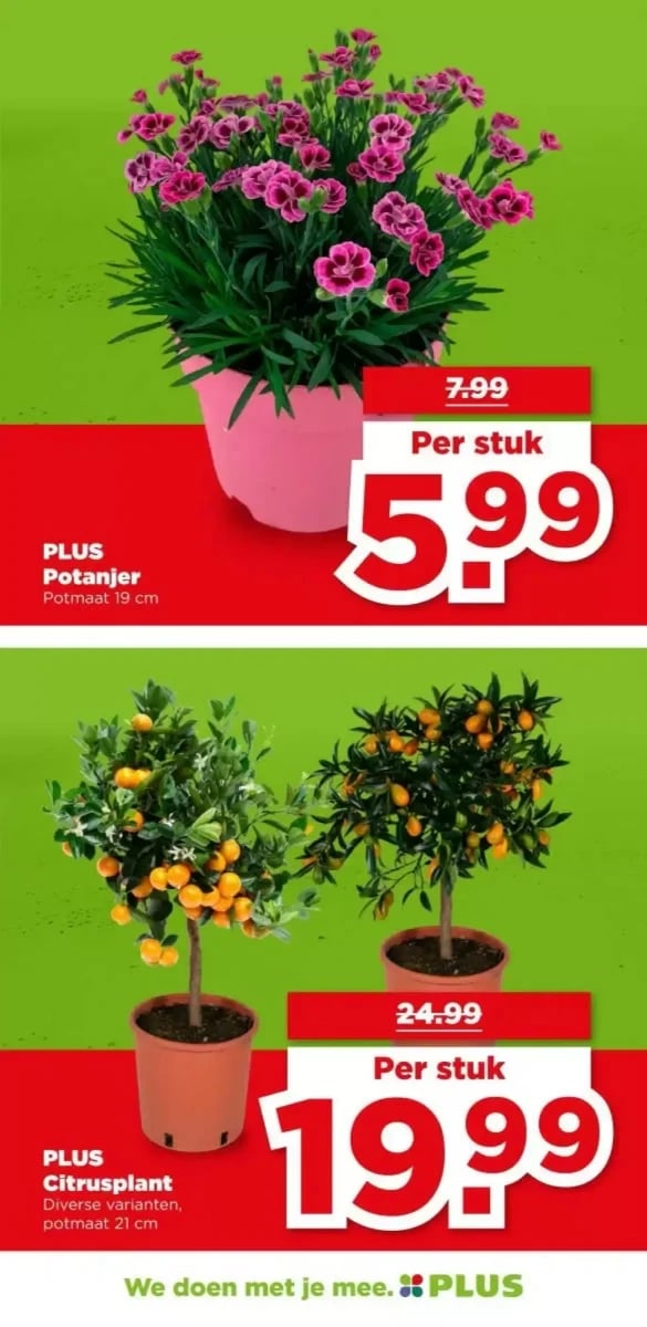 Plus folder – pagina 41