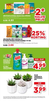 PLUS Vetplant In keramieken pot aanbieding bij Plus – geldig van 18.02.2026 t/m 24.02.2026
