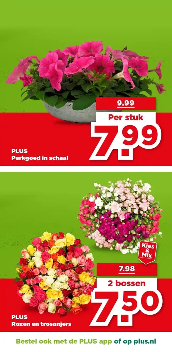 Plus folder – pagina 38
