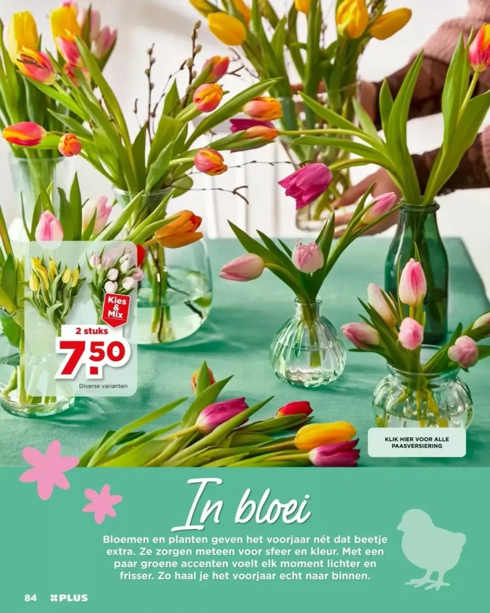 Plus folder – pagina 84