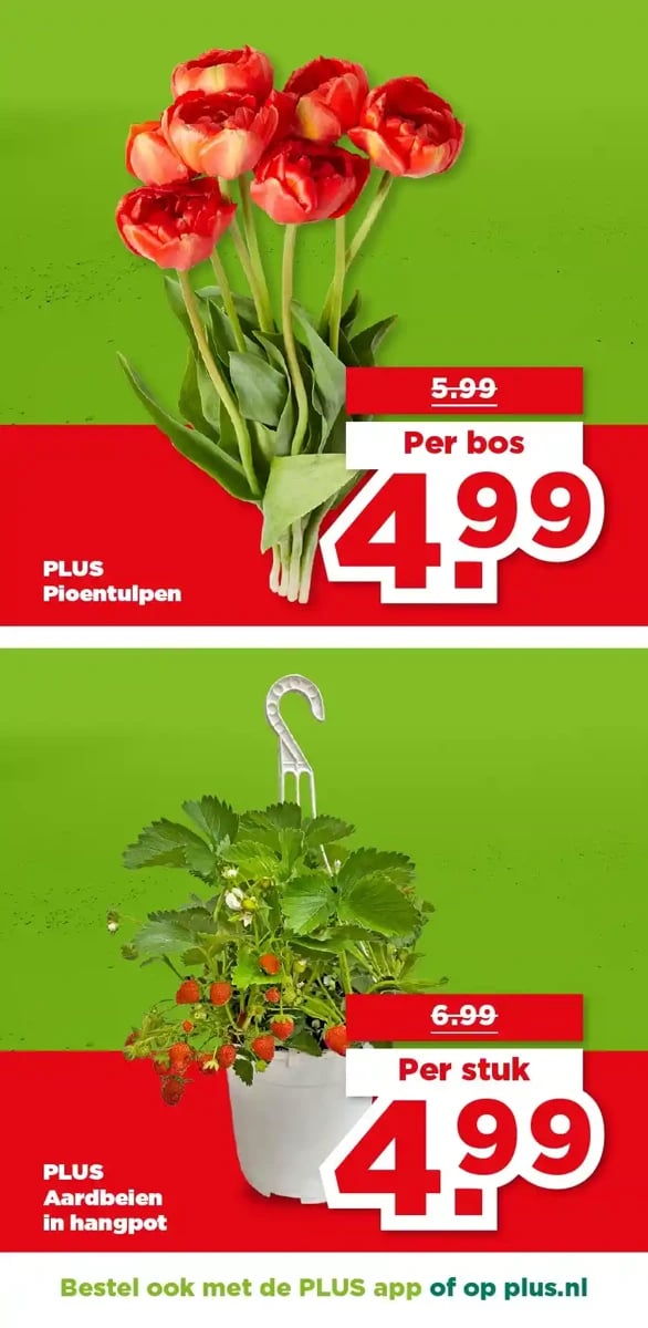 Plus folder – pagina 32