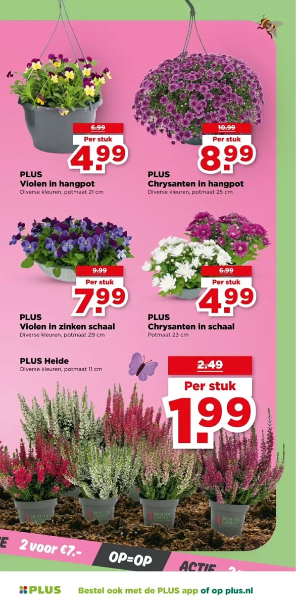 Plus folder – pagina 51