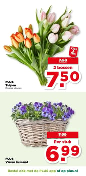 PLUS Violen in mand aanbieding bij Plus – geldig van 25.02.2026 t/m 03.03.2026