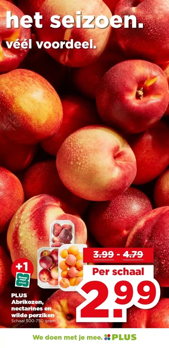 Plus folder – pagina 5