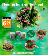 Noordertrots tulpen aanbieding bij Poiesz – geldig van 01.02.2026 t/m 07.02.2026