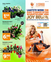 Violen clayettes 10-pack aanbieding bij Poiesz – geldig van 01.03.2026 t/m 07.03.2026