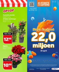 Begonia aanbieding bij Poiesz – geldig van 05.04.2026 t/m 11.04.2026