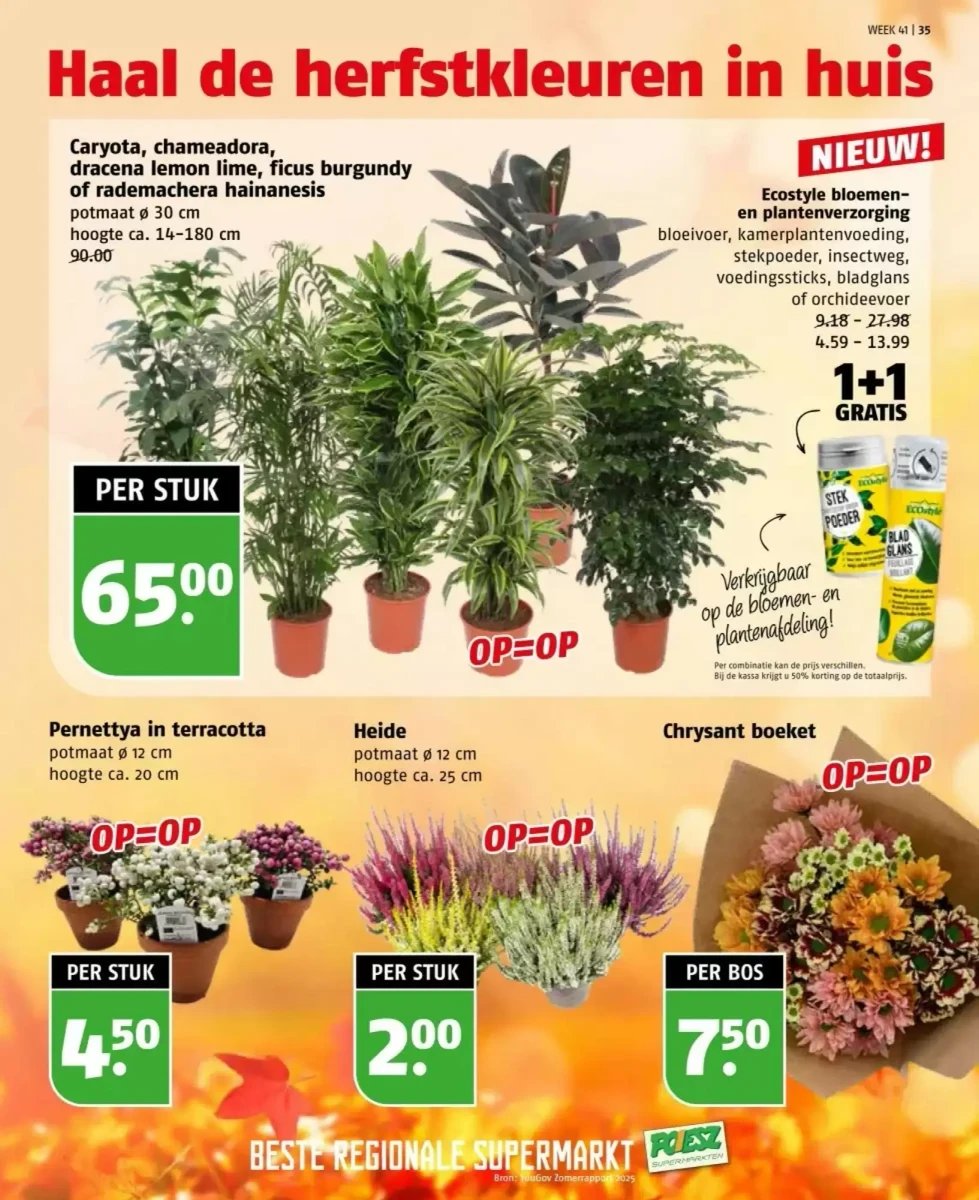 Poiesz folder – pagina 35