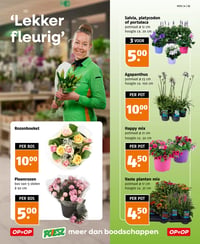 Agapanthus aanbieding bij Poiesz – geldig van 07.06.2026 t/m 13.06.2026