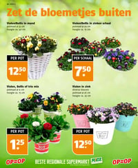 Violen/Bellis in mand aanbieding bij Poiesz – geldig van 08.03.2026 t/m 14.03.2026