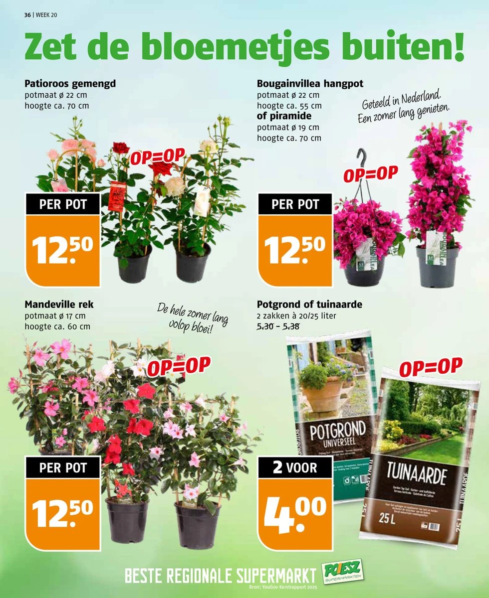 Poiesz folder – pagina 36