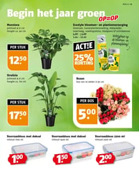 Ecostyle bloemen- en plantenverzorging aanbieding bij Poiesz – geldig van 11.01.2026 t/m 17.01.2026