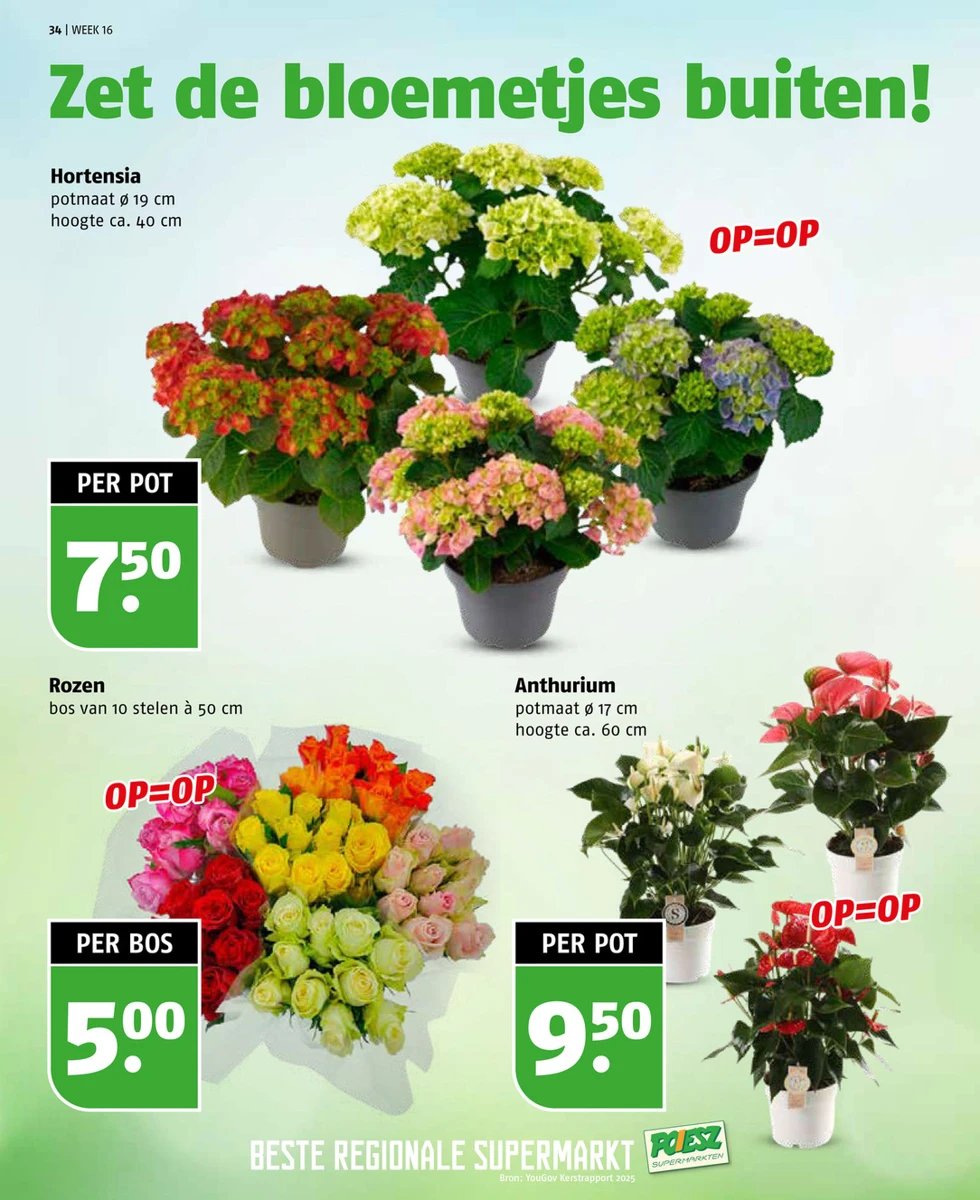 Poiesz folder – pagina 34