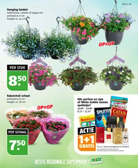 Kalanchoë schaal aanbieding bij Poiesz – geldig van 12.04.2026 t/m 18.04.2026
