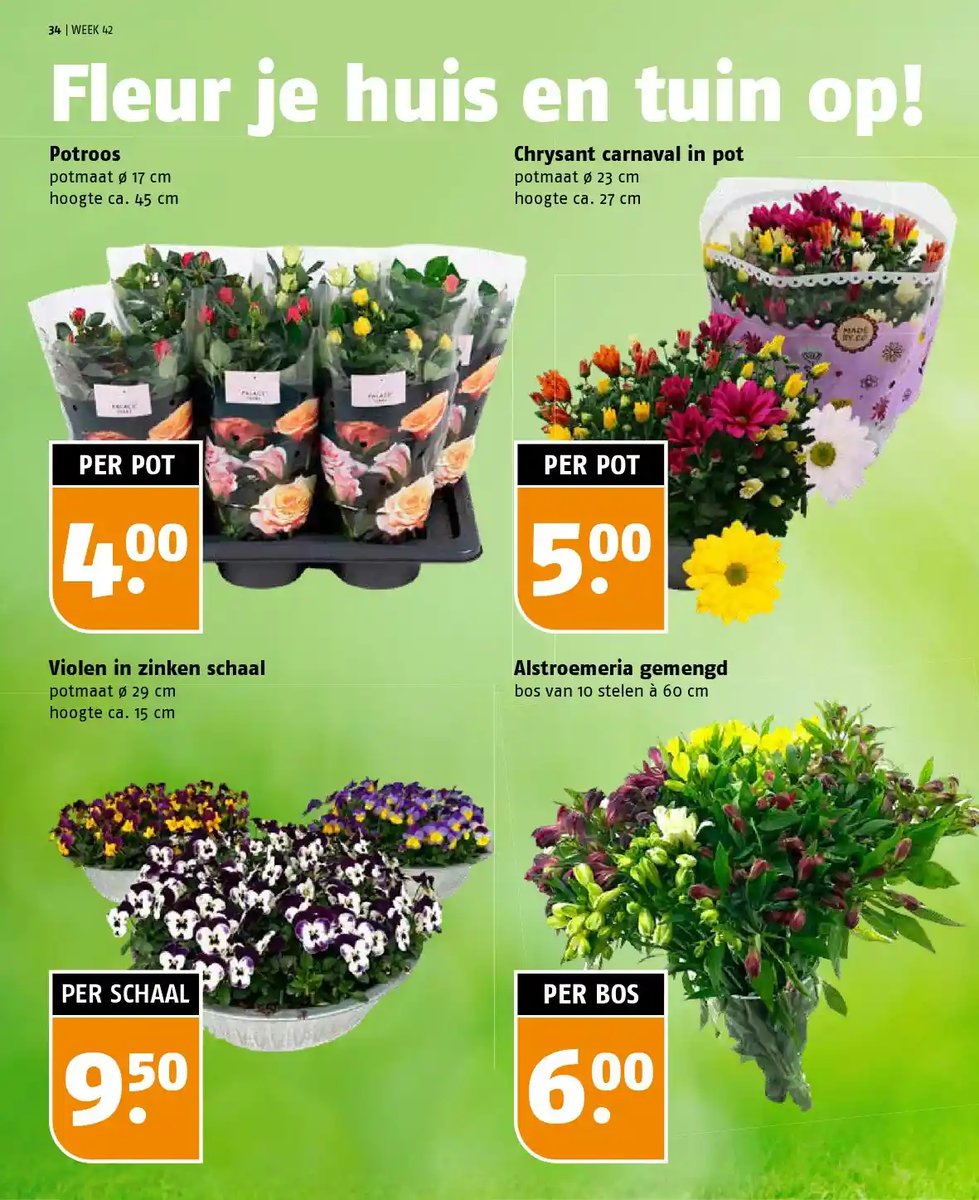 Poiesz folder – pagina 28