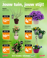 Campanula mix aanbieding bij Poiesz – geldig van 15.03.2026 t/m 21.03.2026