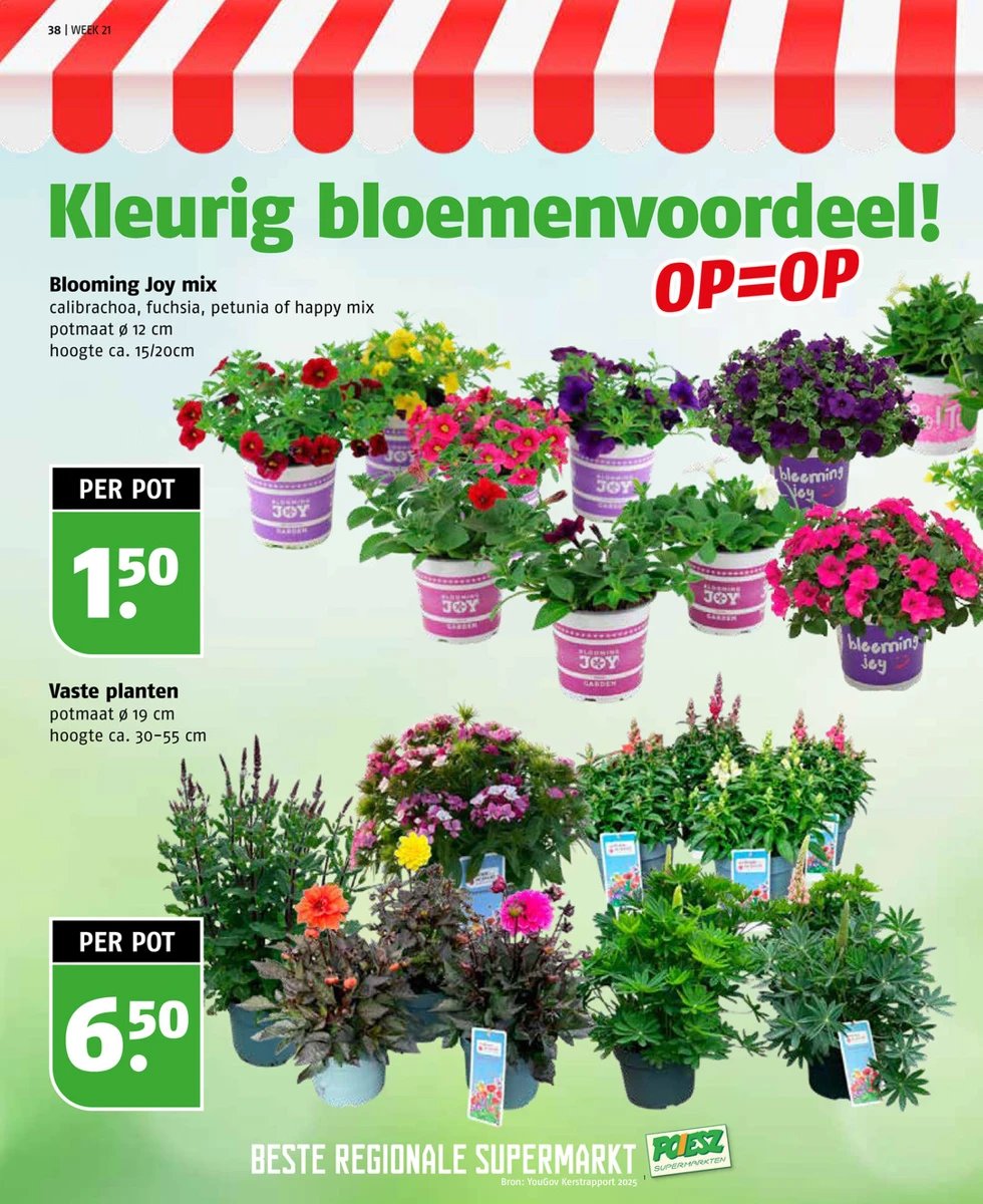 Poiesz folder – pagina 38