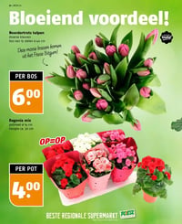 Noorder trots tulpen aanbieding bij Poiesz – geldig van 18.01.2026 t/m 24.01.2026