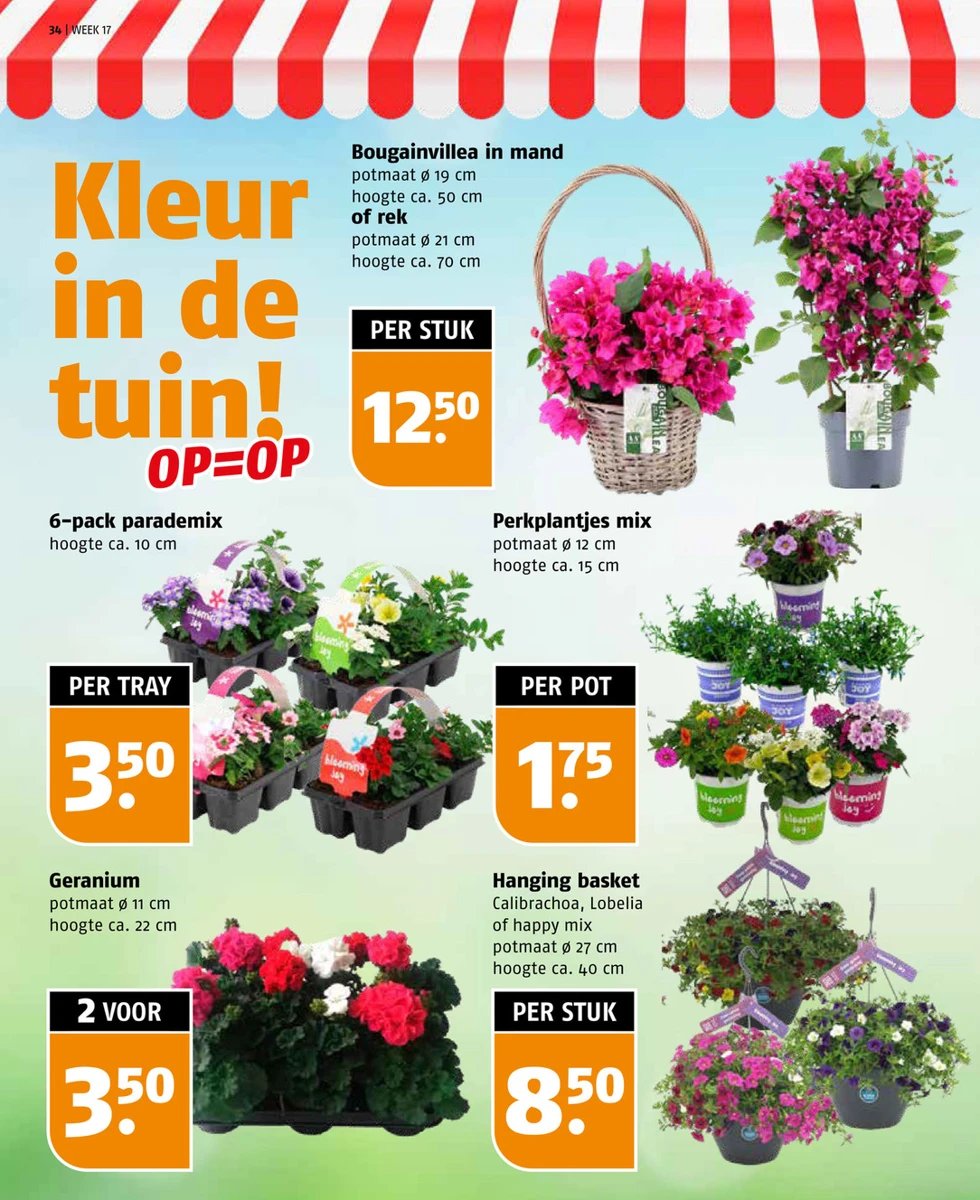 Poiesz folder – pagina 34