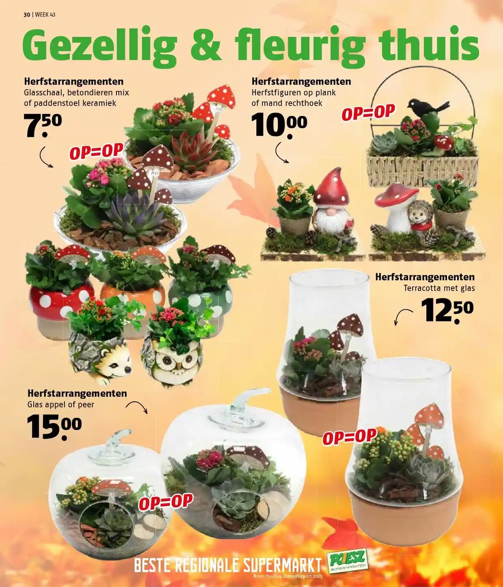 Poiesz folder – pagina 23