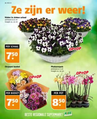 Phalaenopsis aanbieding bij Poiesz – geldig van 22.02.2026 t/m 28.02.2026