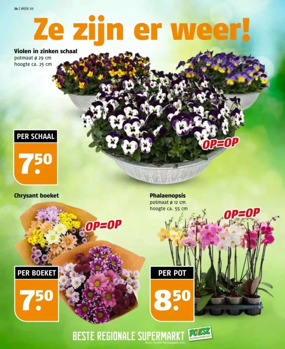 Poiesz folder – pagina 34