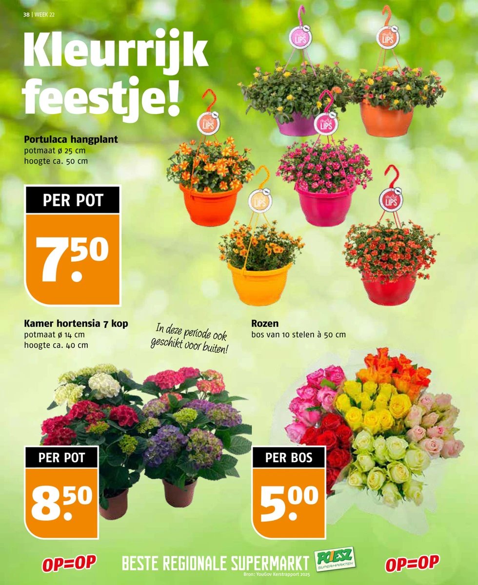 Poiesz folder – pagina 38