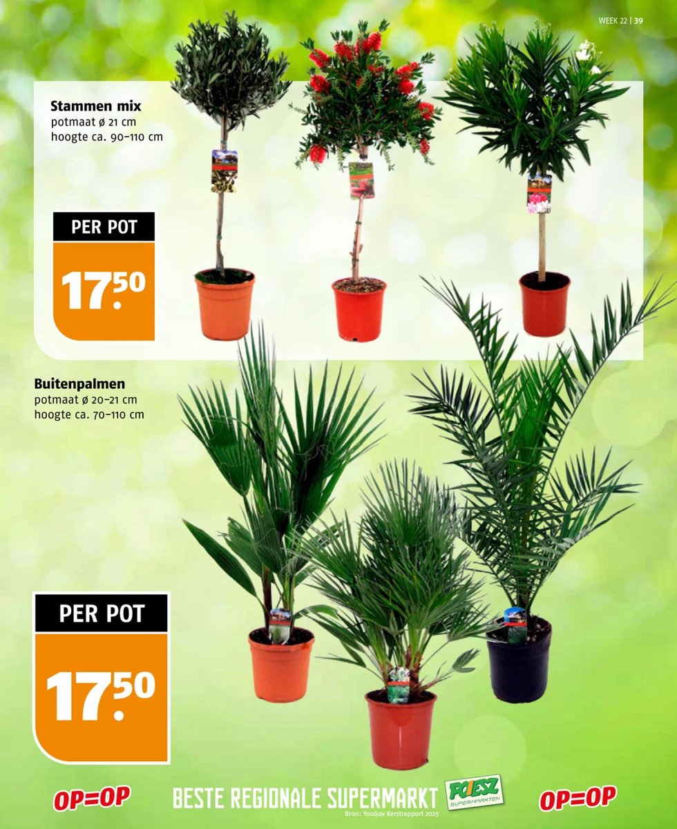 Poiesz folder – pagina 39
