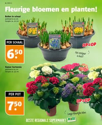 Bollen in schaal aanbieding bij Poiesz – geldig van 25.01.2026 t/m 31.01.2026