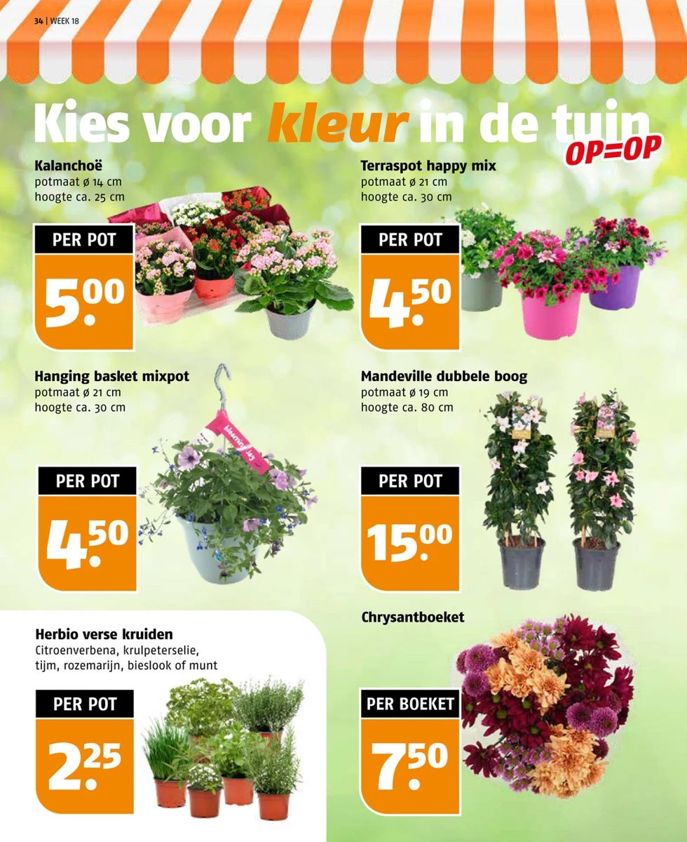 Poiesz folder – pagina 34