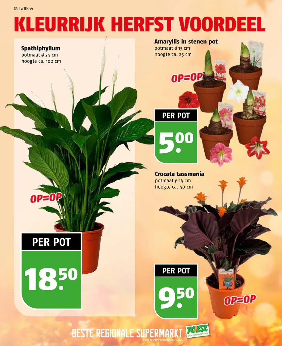 Poiesz folder – pagina 34