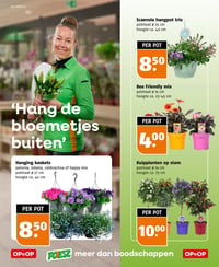 Hanging baskets aanbieding bij Poiesz – geldig van 31.05.2026 t/m 06.06.2026