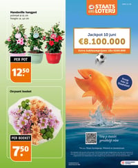 Mandeville hangpot aanbieding bij Poiesz – geldig van 31.05.2026 t/m 06.06.2026