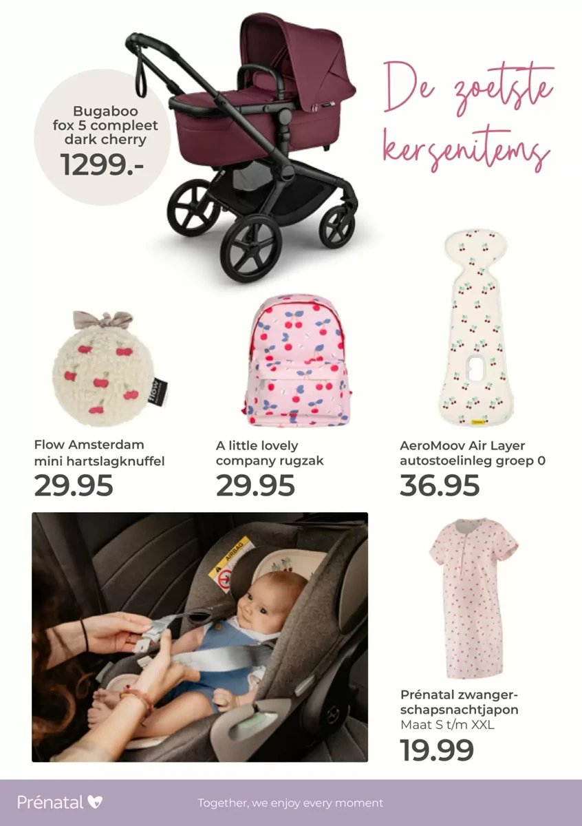 Prenatal folder – pagina 12