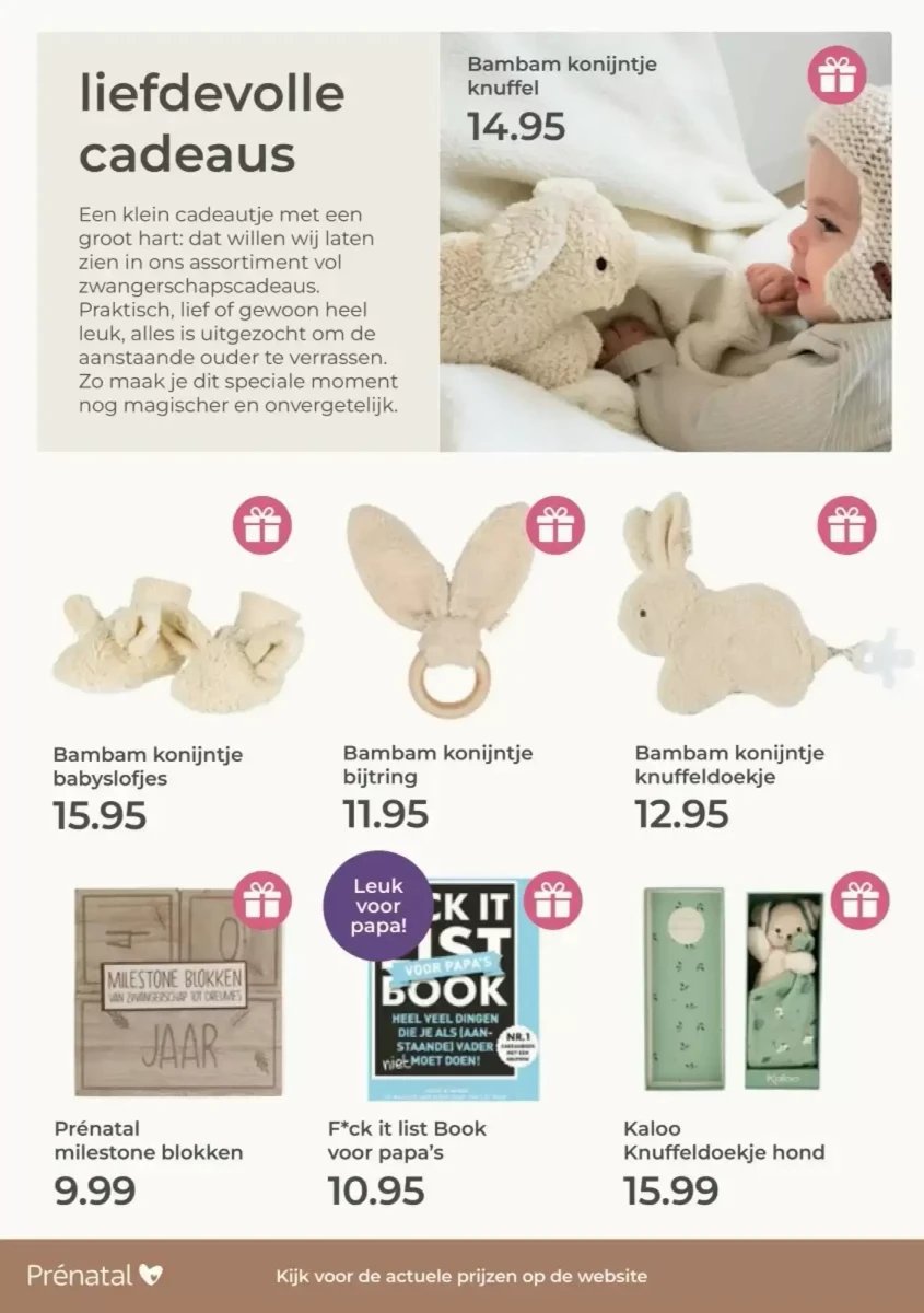 Prenatal folder – pagina 80