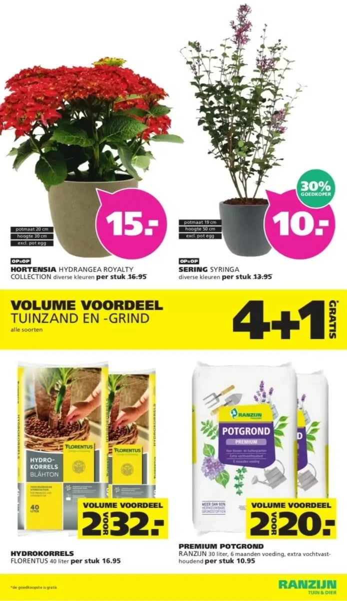 Ranzijn folder – pagina 8