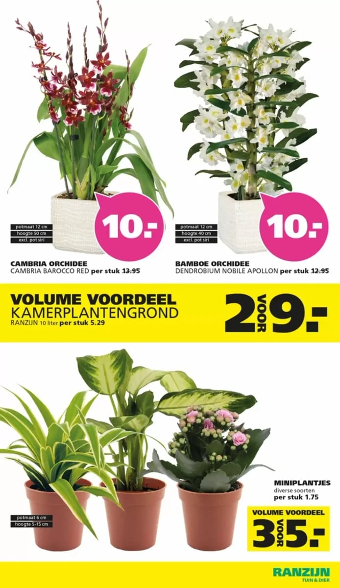 Ranzijn folder – pagina 4