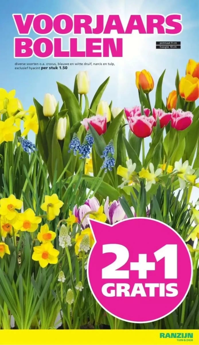 Ranzijn folder – pagina 6