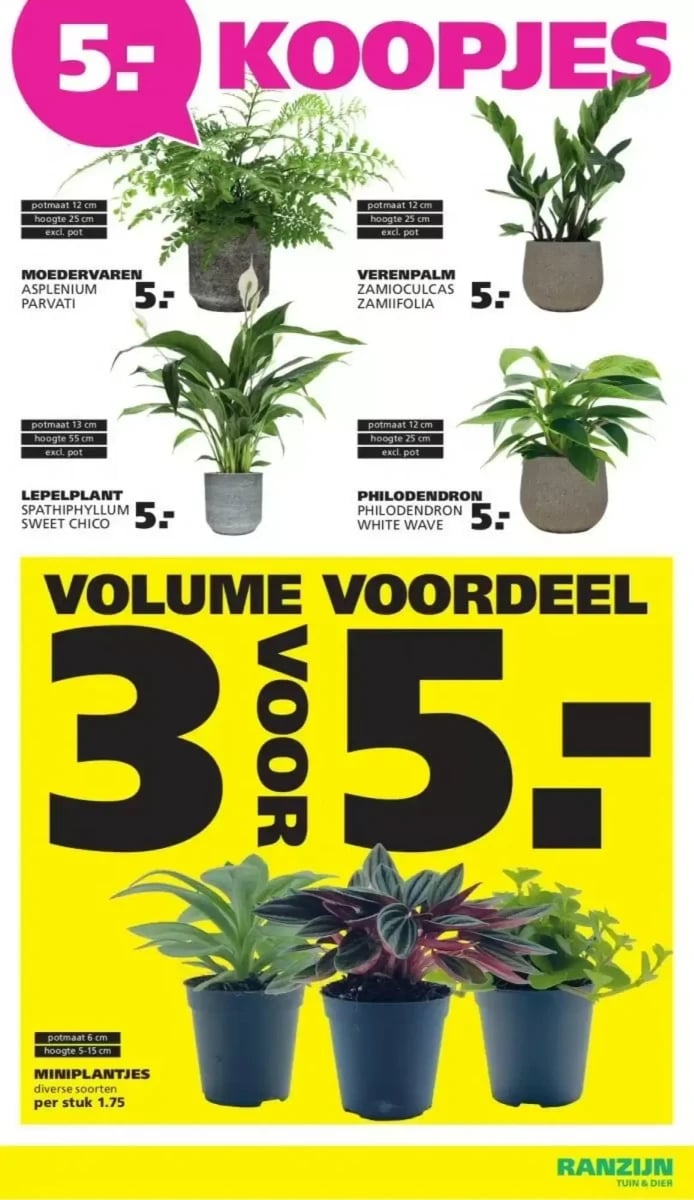 Ranzijn folder – pagina 3
